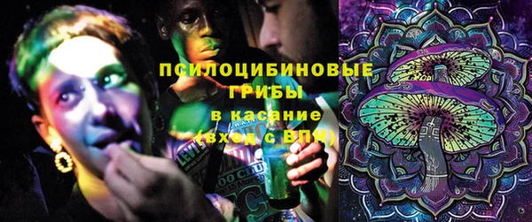 трава Аркадак