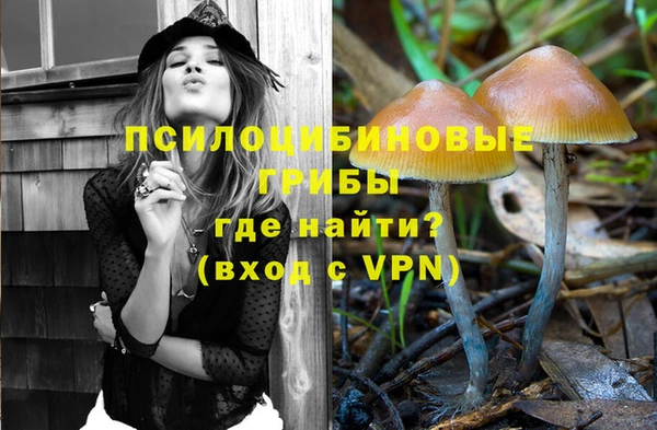 трава Аркадак