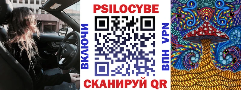 darknet как зайти  Аркадак  Псилоцибиновые грибы Cubensis 